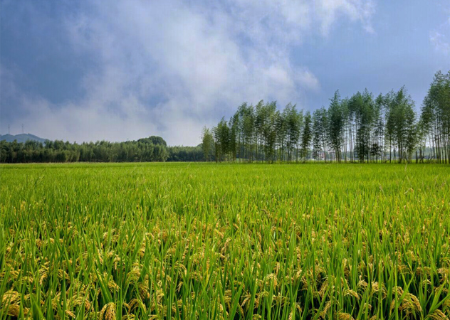 黑河环境质量检测