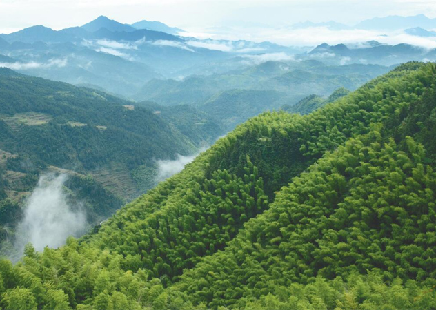 银川环境应急预案